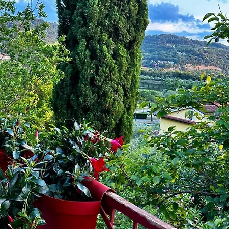 Family House *